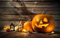 Elevations October Newsletter 2021